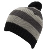 Dragon Modesto Stripe Beanie
