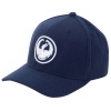 Dragon Icon Curve Flex Fit Cap