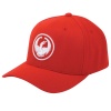 Dragon Icon Curve Flex Fit Cap