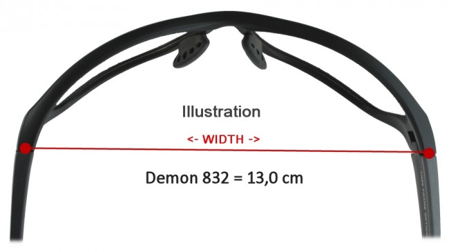 Demon 832 Photochromatic skibrille