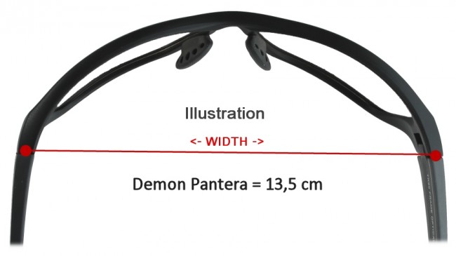 Demon Pantera skibriller