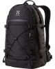 Hagl�fs Backup 15, Computerrygs�k