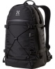 Hagl�fs Backup 17, Computerrygs�k