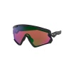 Oakley Wind Jacket 2.0, Prizm , Matte Black