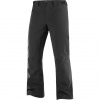 Salomon Brilliant Pant, skibukser, herre, sort