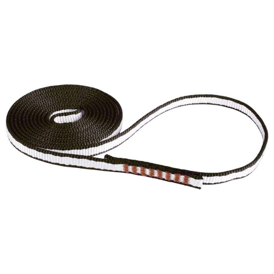 Edelweiss Sling 10MM Dyneema X5, klatreslynge, sort billede