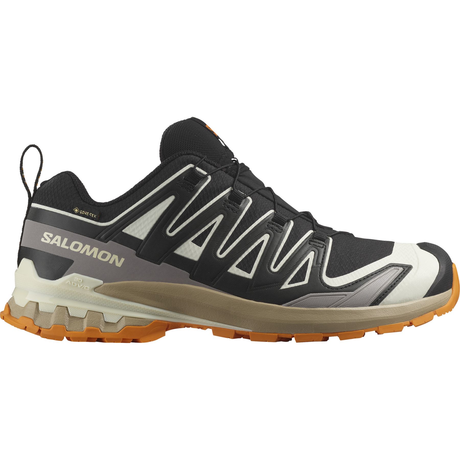 Salomon XA Pro 3D V9 GTX, trailsko, herre, sort