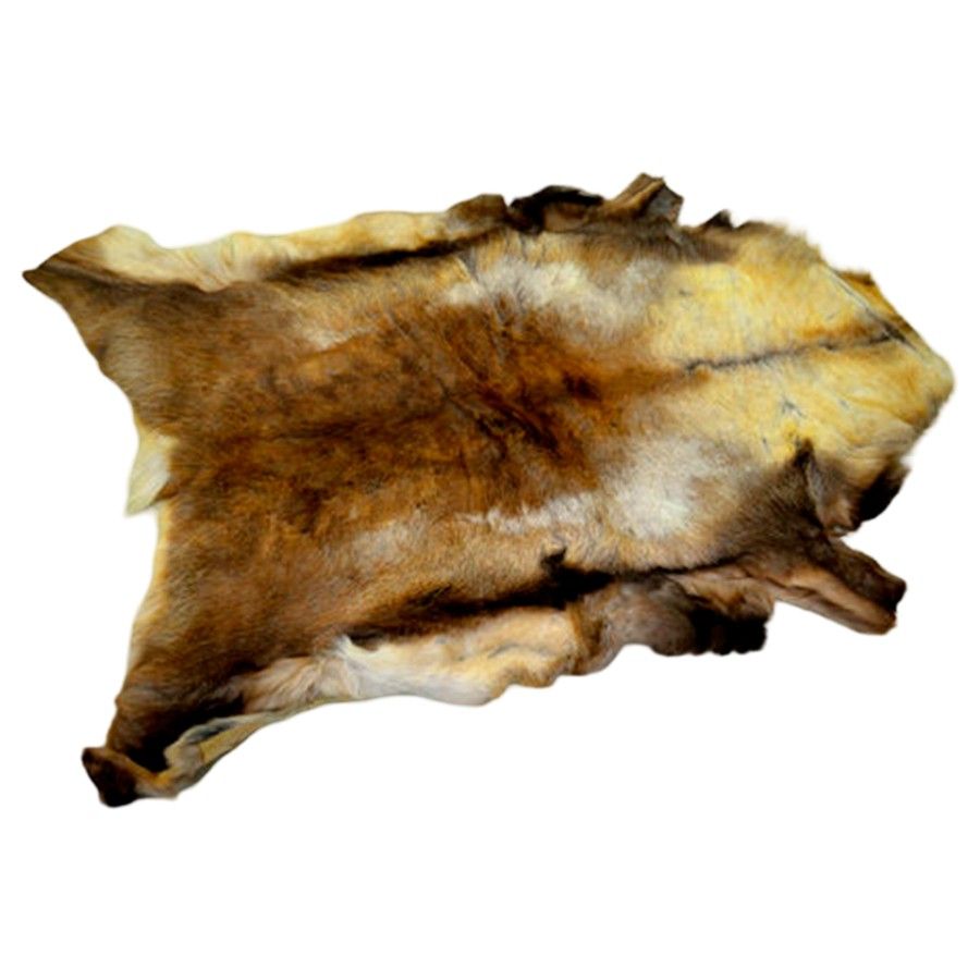 Tentipi Reindeer Hide Deluxe, tæppe, brun billede